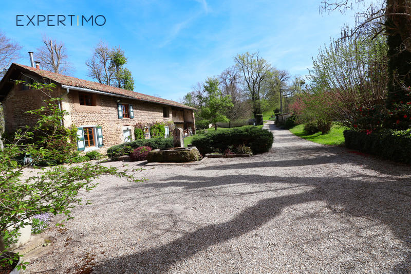 Propriété - 391 m² - 9 pièces