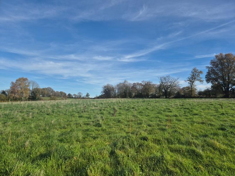 Terrain agricole - 17 650 m²