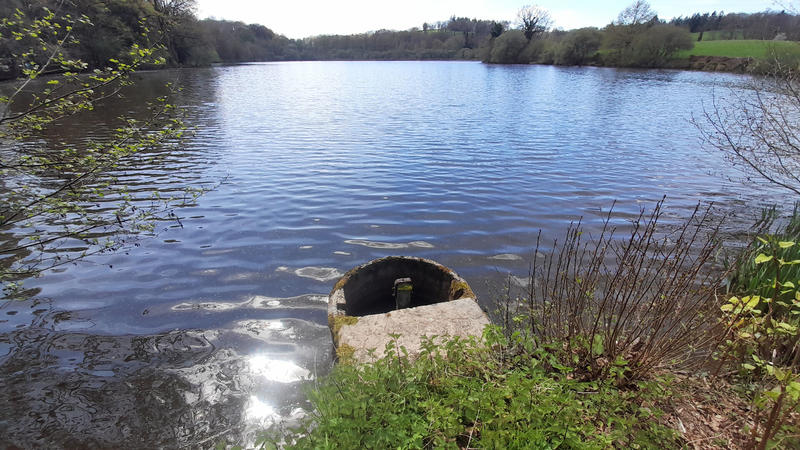 Terrain - 73 256 m²