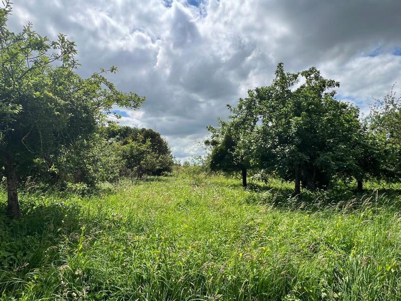 Terrain constructible - 2 000 m²