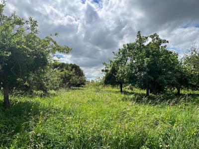 Terrain constructible - 2 000 m²