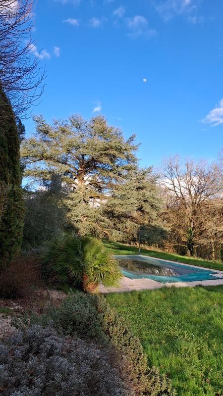 Manoir - 800 m² - 20 pièces