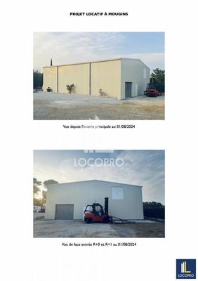 Local d'activité / Entrepôt - 600 m²