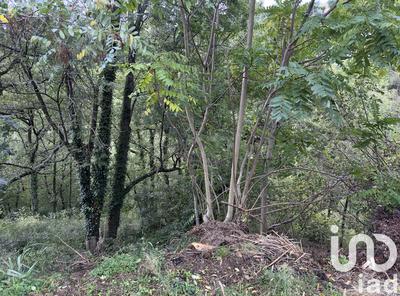 Terrain - 10 076 m²