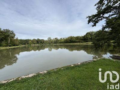 Terrain - 40 000 m²