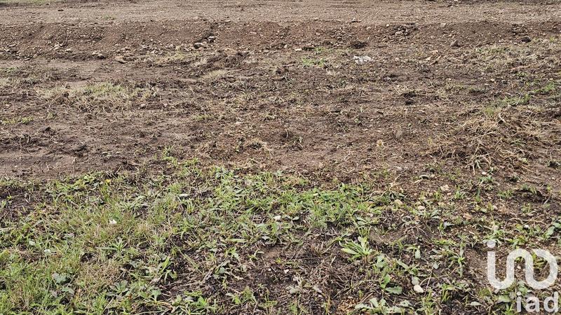 Terrain - 544 m²