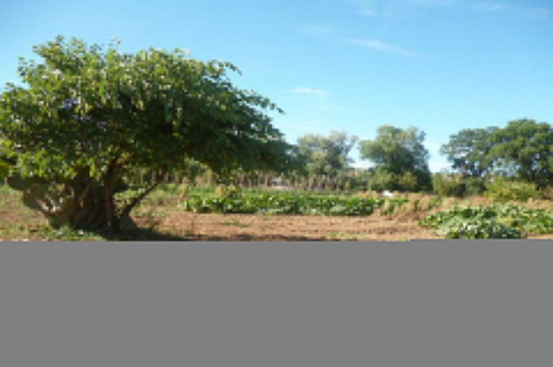 Bastide - 200 m² - 5 pièces