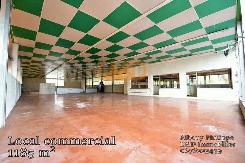 Bureau - 1 185 m² - 5 pièces