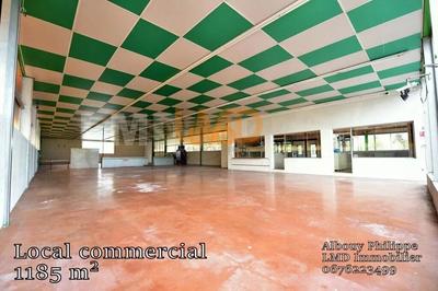 Bureau - 1 185 m² - 5 pièces