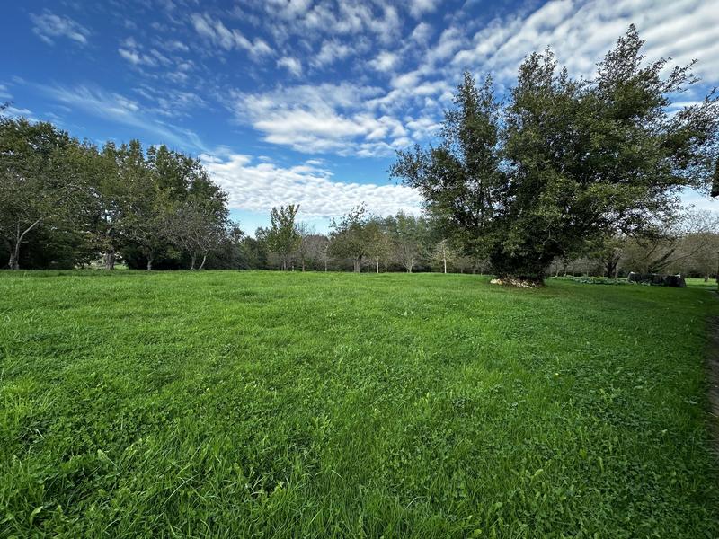 Maison traditionnelle - 302 m² - 7 pièces