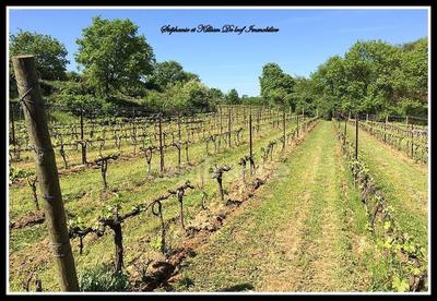 Terrain agricole - 24 630 m²