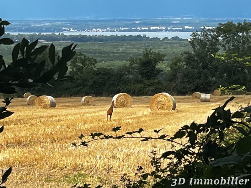 Maison - 450 m² - 10 pièces