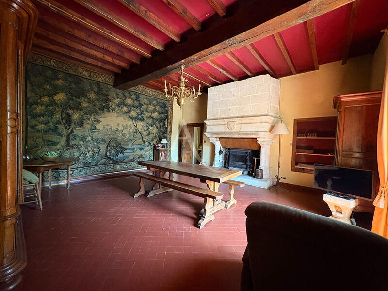 Maison - 493 m² - 18 pièces