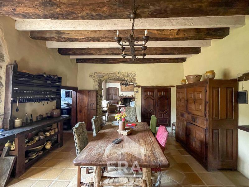 Château - 370 m² - 10 pièces