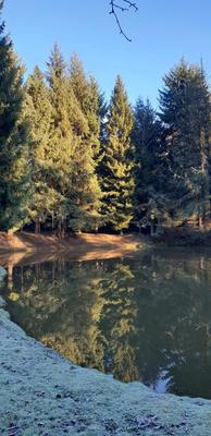 Terrain - 10 109 m²