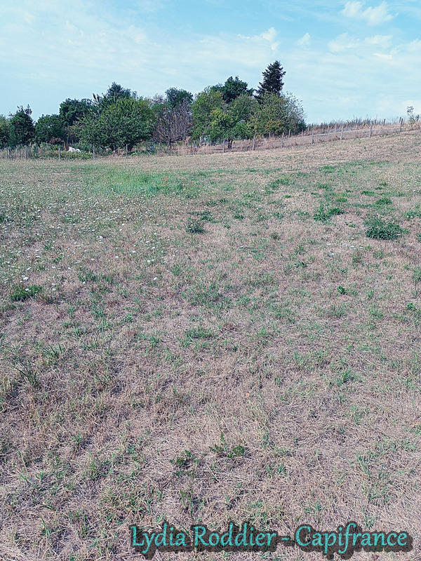 Terrain constructible - 2 710 m²