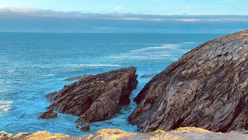 Appartement - 95 m² - 4 pièces