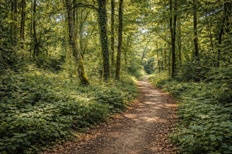 Demeure - 308 m² - 7 pièces