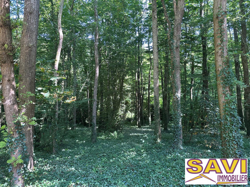 Maison traditionnelle - 153 m² - 5 pièces