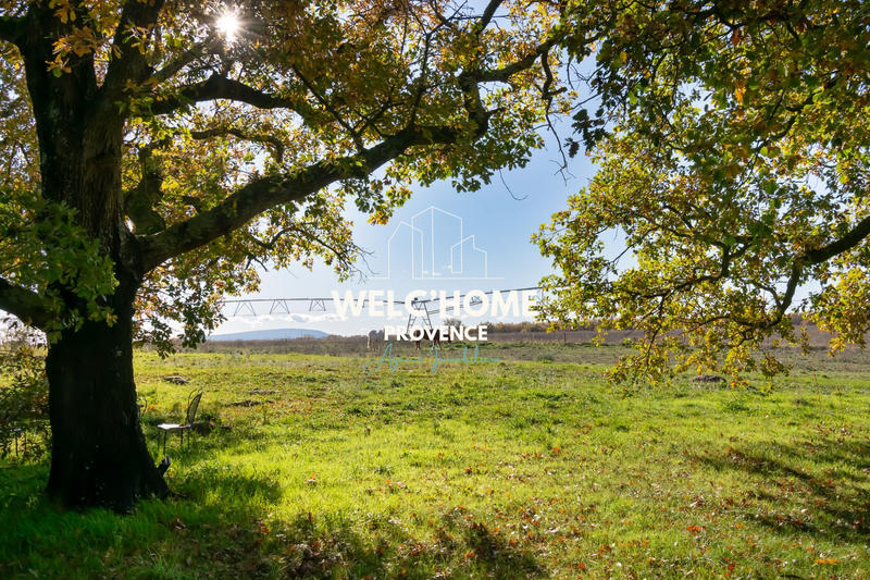 Mas - 465 m² - 20 pièces