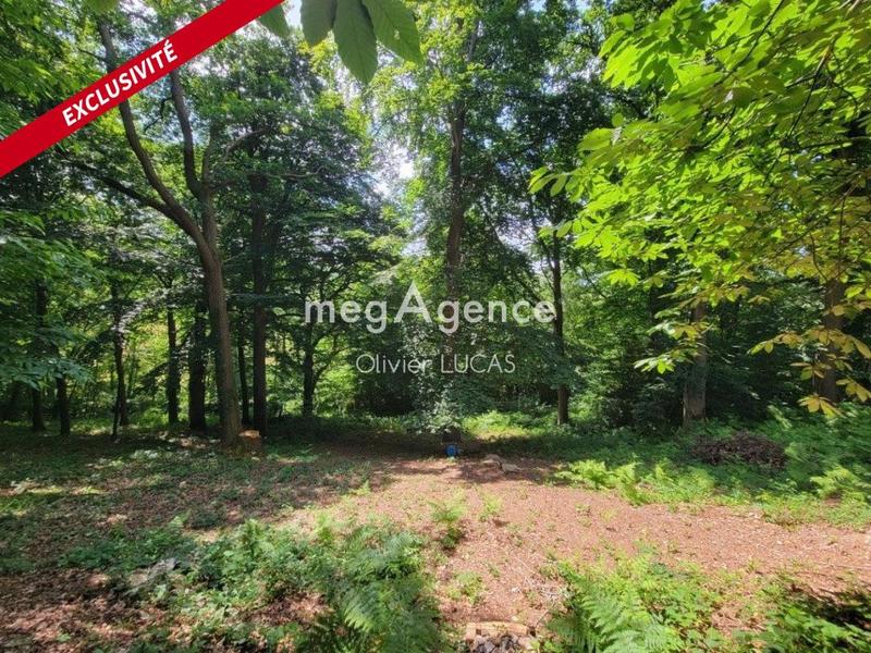 Maison de campagne - 74 m² - 3 pièces