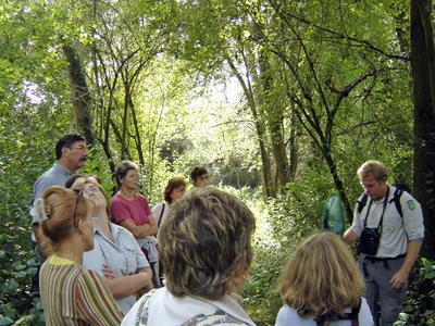 Journée mondiale des zones humides - découverte de la réserve naturelle de Rhinau