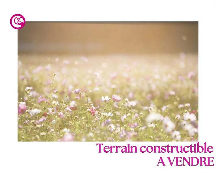 Terrain constructible - 1 401 m²