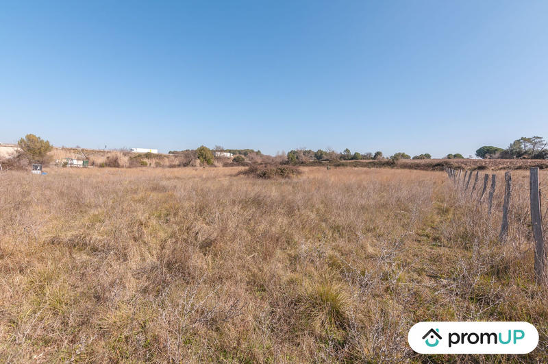 Terrain agricole - 5 000 m²