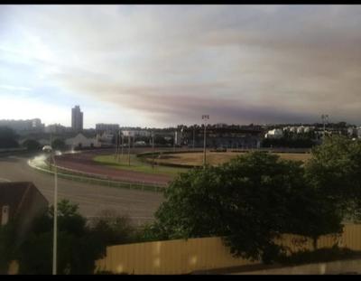 Studio - 19 m² - 1 pièce