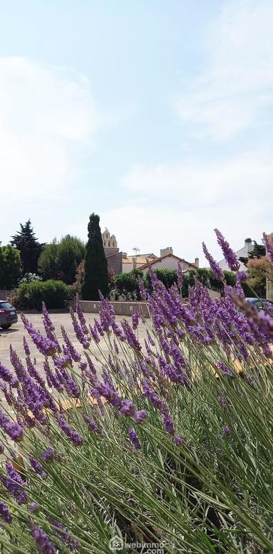 Appartement - 27 m² - 1 pièce