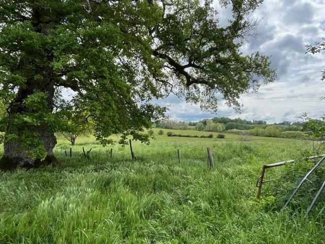 Corps de ferme - 351 m² - 9 pièces