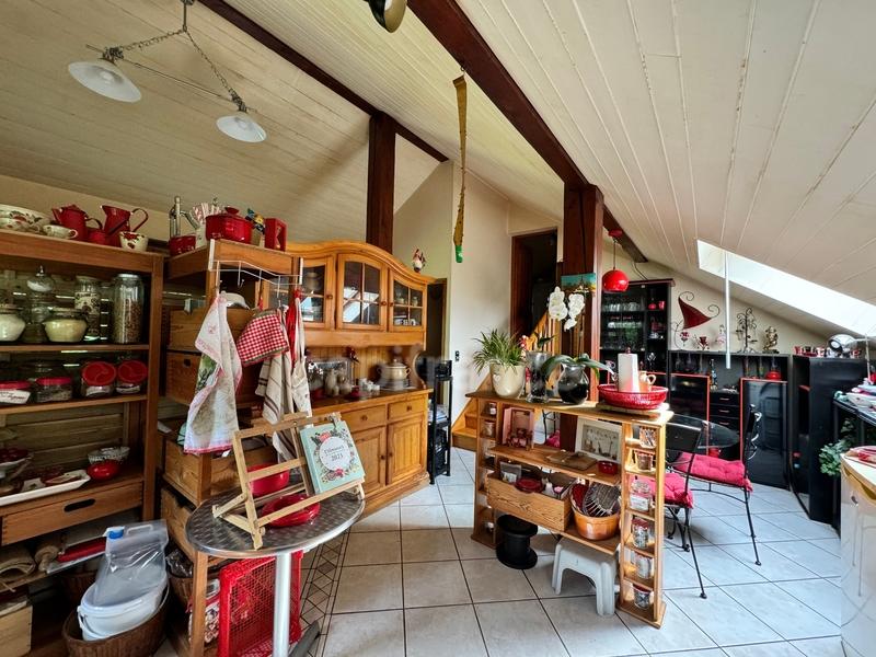 Local artisanal - 223 m² - 4 pièces