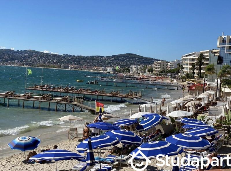 Appartement - 35 m² - 1 pièce