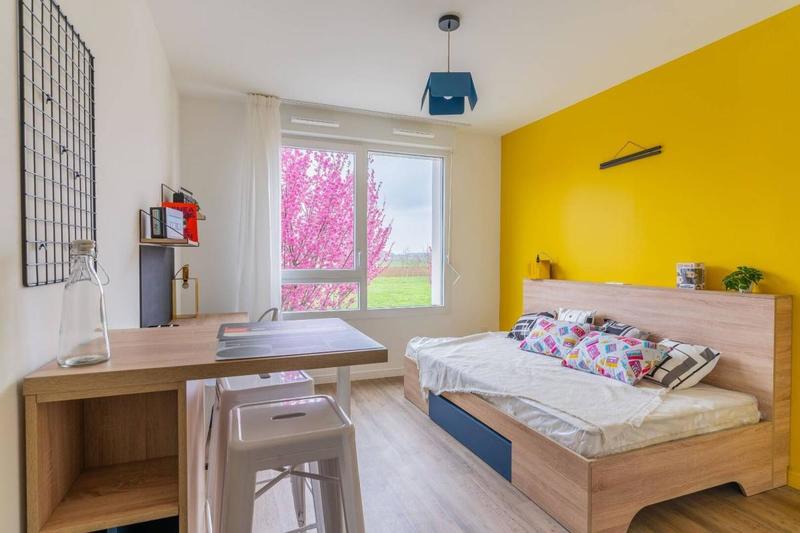 Studio - 17 m² - 1 pièce