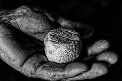 [Exposition] le Chavignol : un demi-siècle d'excellence