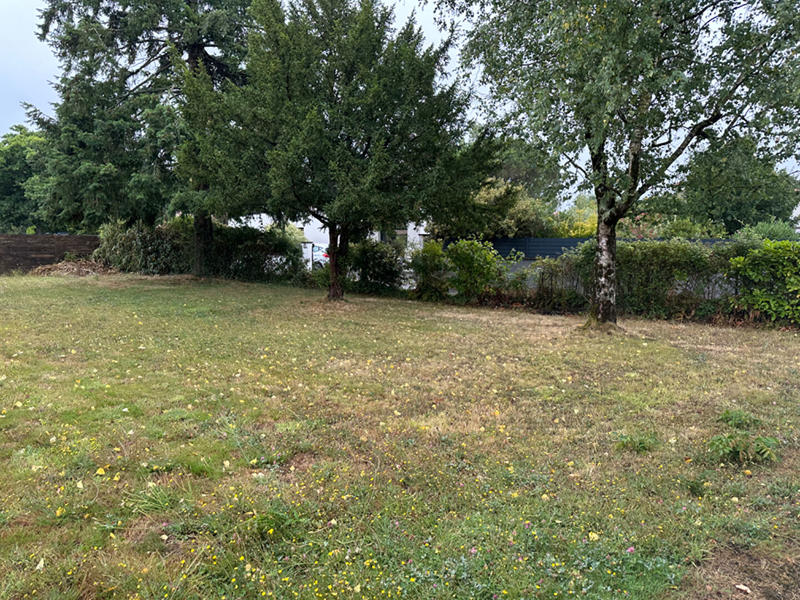Terrain - 630 m²