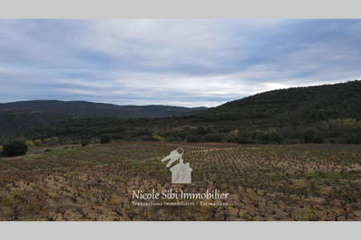 Terrain agricole - 29 300 m²