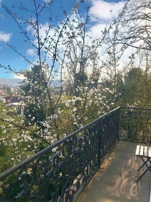 Studio - 20 m² - 1 pièce