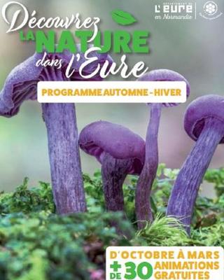 Sortie nature à Saint-André de l'Eure : les rapacs des plaines