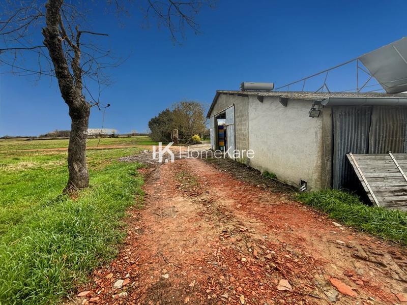 Ferme - 190 m² - 7 pièces