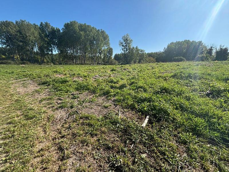Terrain constructible - 5 500 m²