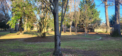 Appartement - 68 m² - 4 pièces