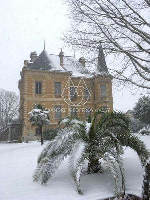 Château - 1 050 m² - 25 pièces