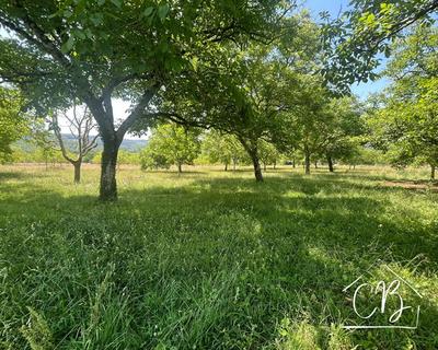 Terrain constructible - 4 264 m²