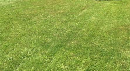 Terrain constructible - 715 m²