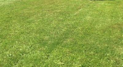 Terrain constructible - 715 m²