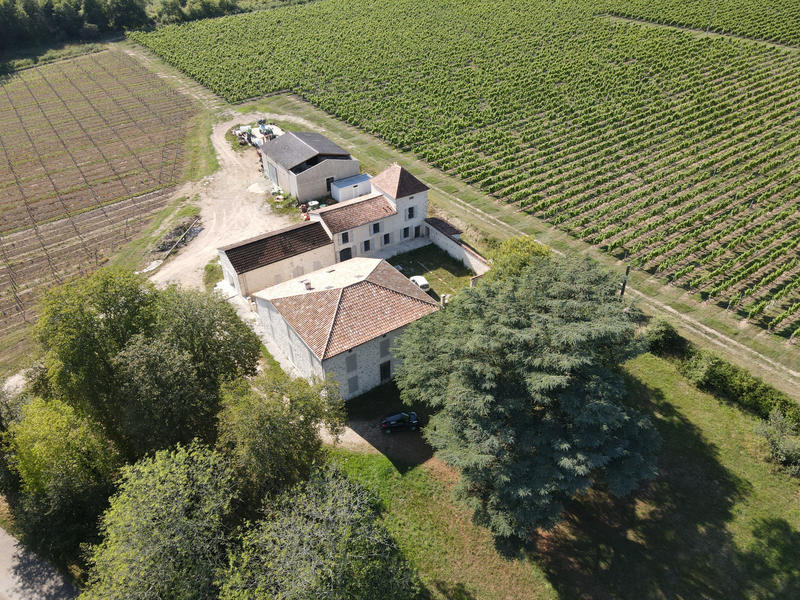 Propriété - 585 m² - 17 pièces