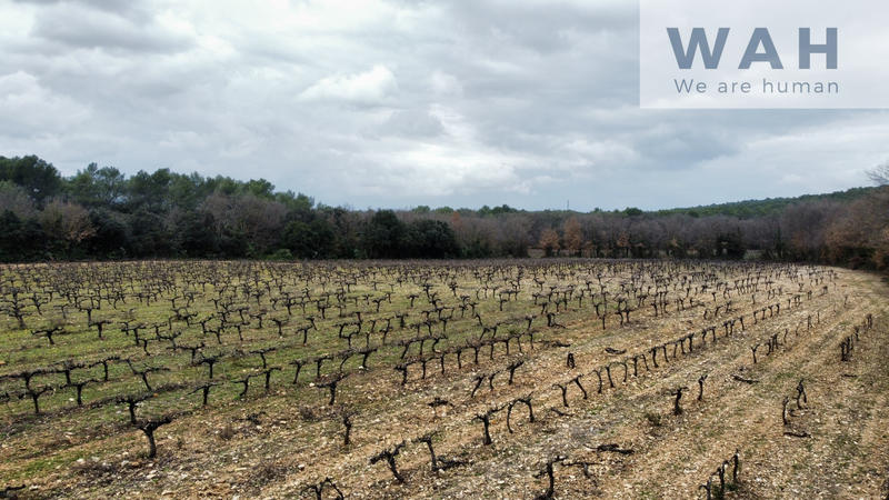 Terrain agricole - 117 200 m²