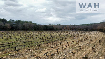 Terrain agricole - 117 200 m²