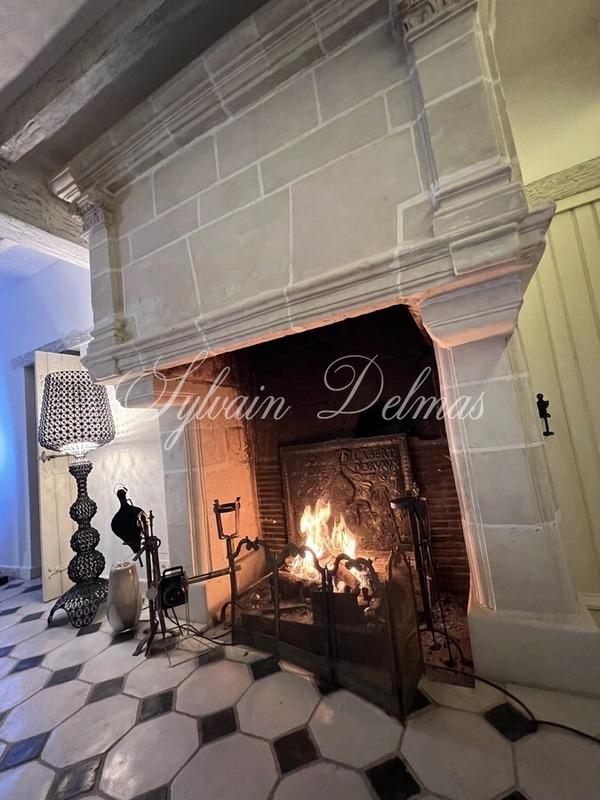 Manoir - 560 m² - 6 pièces